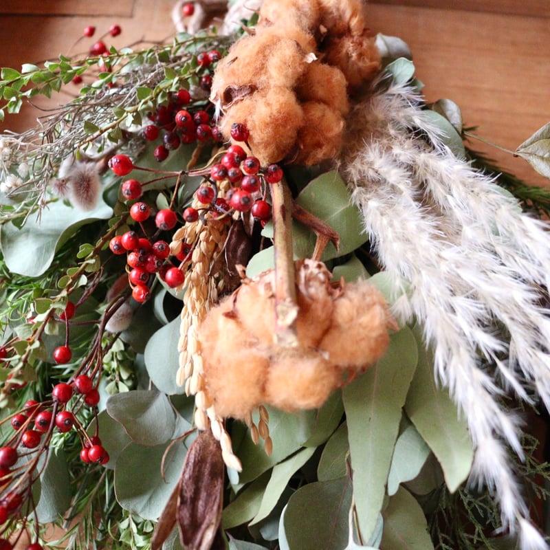 フォルモーサとスターチスのクリスマスお正月しめ縄 フォルモーサとスターチスのクリスマスお正月しめ縄