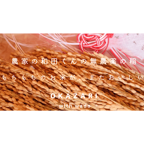「OKAZARI」クリスマス福しめ縄 / 福を招いてハッピーに。