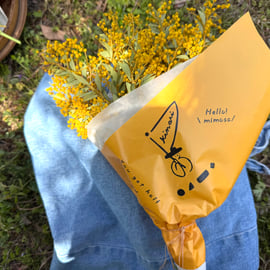 NEW>>>特典付き！2026ミモザ先行予約販売開始のお知らせ！！ | キナリ