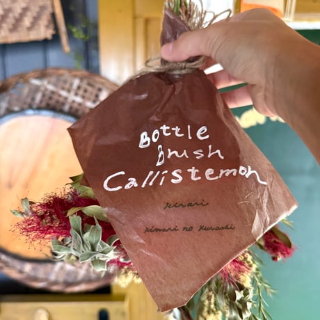 SOLD OUT！ありがとうございました！！ BOTTLE BRUSH ///いつもの夏に、あたらしい夏色を。
