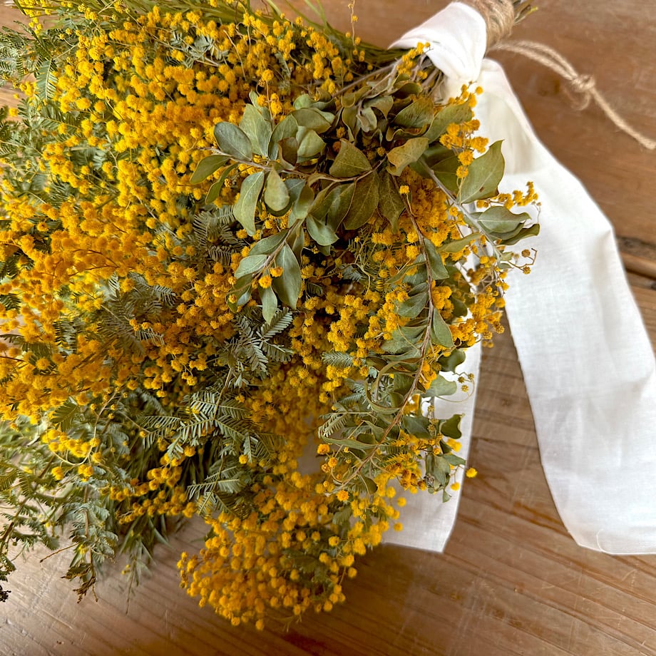 ミモザ通常販売//3月末or4月】「M・s ö p ö」春のおしゃれをまるっとお