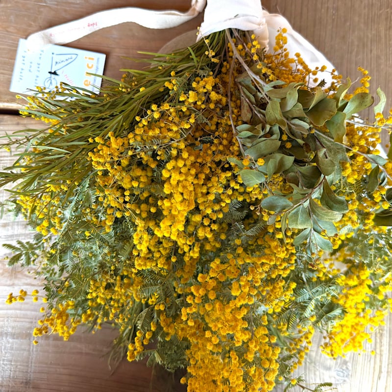 ミモザの蕾とアンティーク紫陽花の春待ちフライングリース