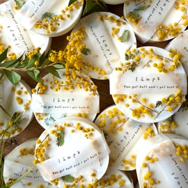 NEW>>>特典付き！2026ミモザ先行予約販売開始のお知らせ！！ | キナリ