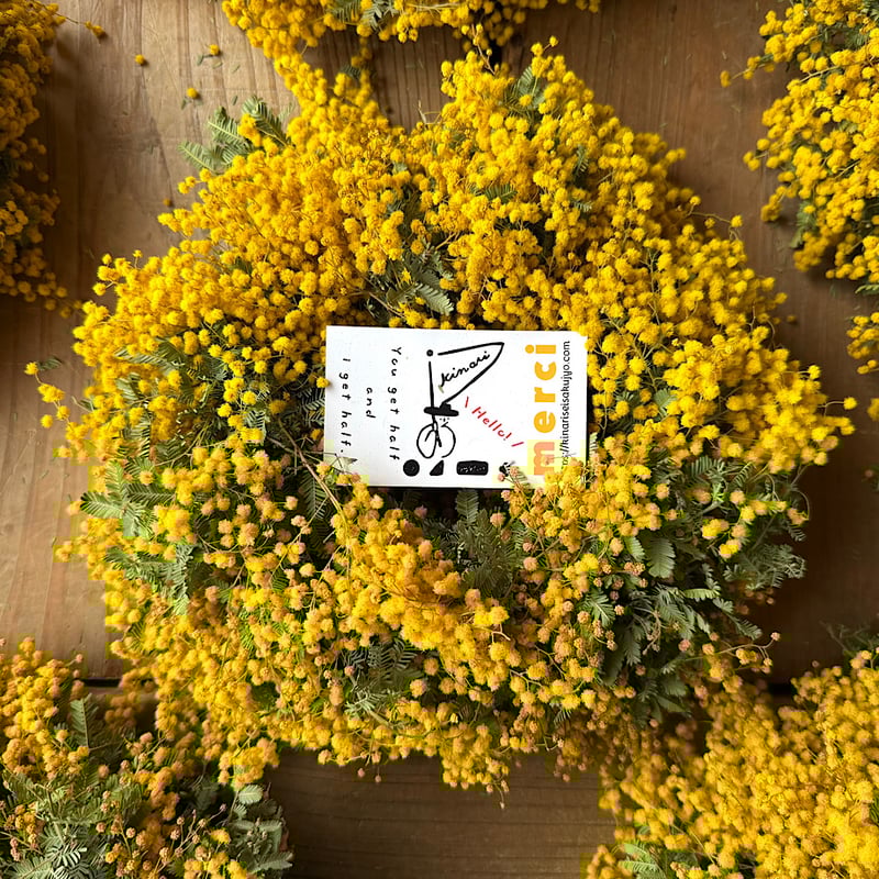 ミモザ先行予約「S・ᴍ ᴇ ʀ ᴄ ɪ ᴡ ʀ ᴇ ᴀ ᴛ ʜ ᴇ」お部屋も春色