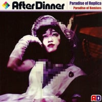 After Dinner  「Souvenir Cassette」　カセット After Dinner – Souvenir Cassette – Cassette (Artist Edition
