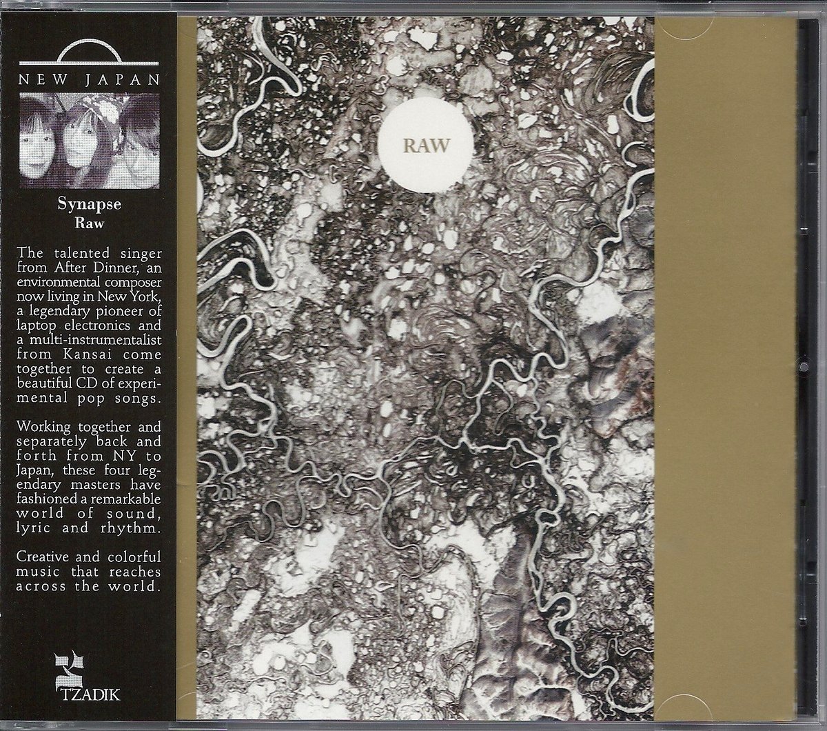Synapse (Haco + Ikue Mori + Aki Onda) - Raw (CD