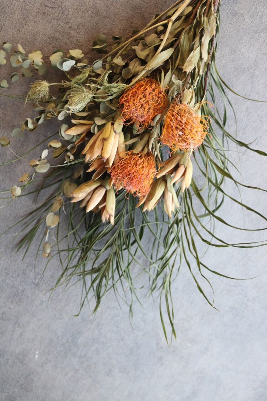 ピンクッションのドライフラワー | FlowerBalloon MUSUBITUKI