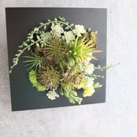 ウォールフレームグリーン〜wood frame〜