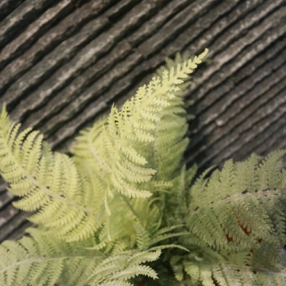 61f964c0bc44dc270204b613