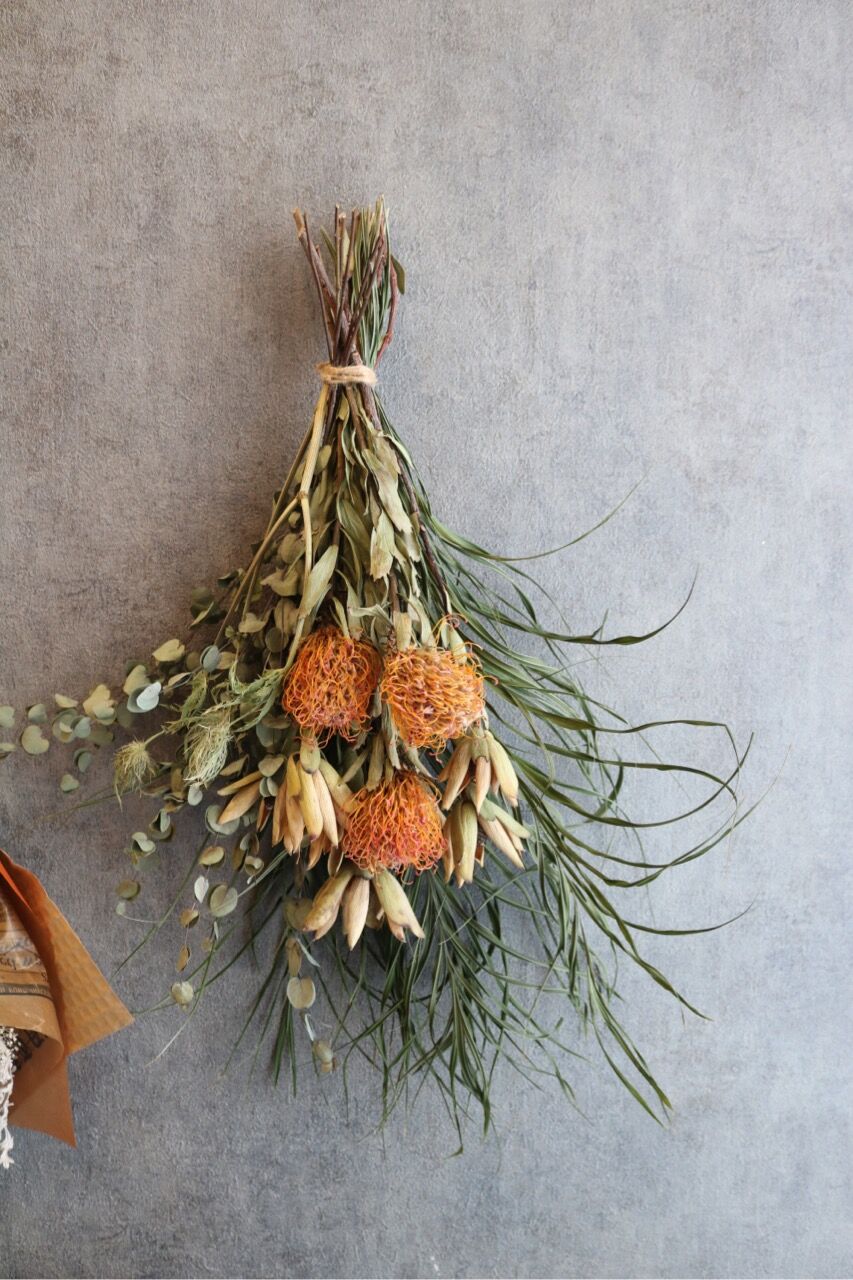 ピンクッションのドライフラワー | FlowerBalloon MUSUBITUKI