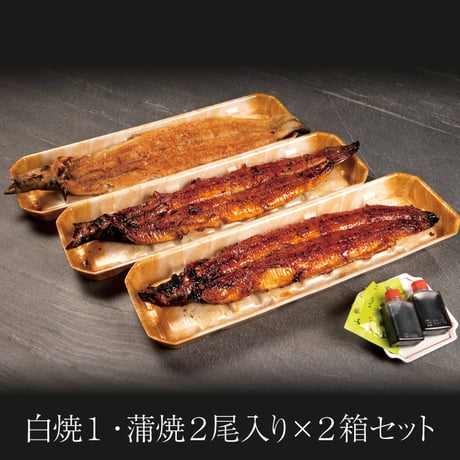 極うなぎ蒲焼・白焼 / 蒲焼2尾・白焼1尾 箱入＜贈答用紙箱入＞×2箱セット　※冷凍のみ