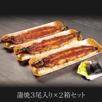 うなぎ蒲焼 / 蒲焼3尾＜贈答用紙箱入＞×2箱セット　※冷凍のみ