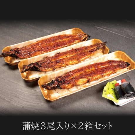 極うなぎ蒲焼 / 蒲焼3尾＜贈答用紙箱入＞×2箱セット　※冷凍のみ
