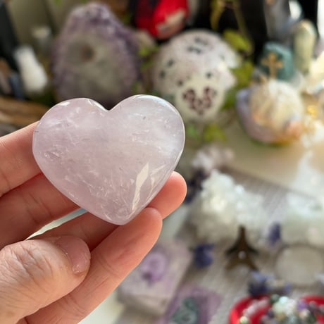 ペリウィンクルハートB💗