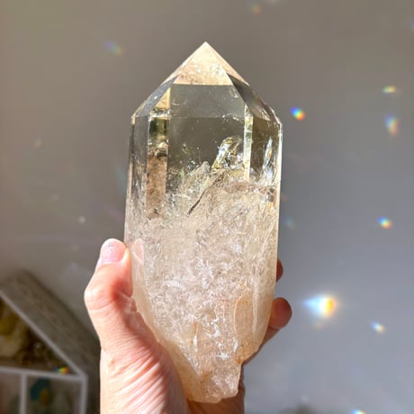 rin様アラバスター×アメジストクラスターくまちゃん♡No.1517 アゾンちいかStar Sprinkles / Moon Cat Chiika[第7版]レーニン