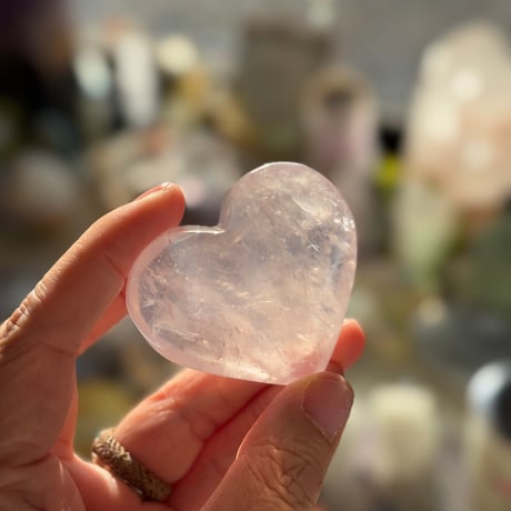 ペリウィンクルハートD💗
