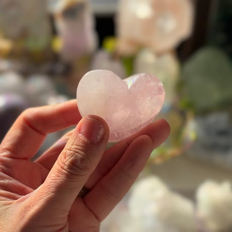 ペリウィンクルハートC💗