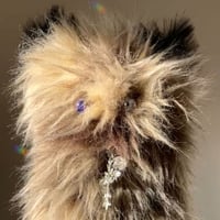 クッションモンスター👻【ブラッキィ】