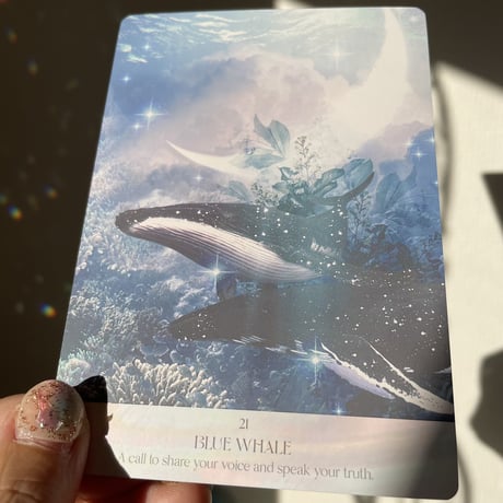 ✨🐳SALT WATER SPIRIT ORACLE CARD 🌊✨