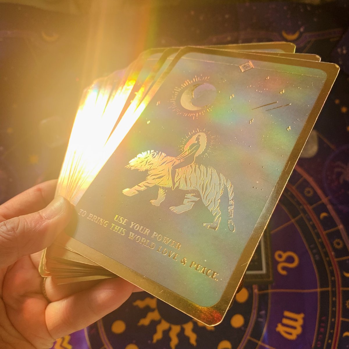 SOUL WHISPERS CARD DECK | Nature's Blessing77