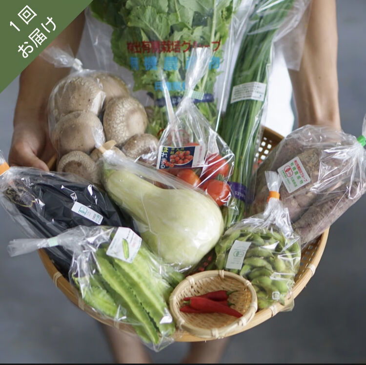一回お届け』おまかせ神戸野菜S・Mセット | FARMSTAND DELIVERY
