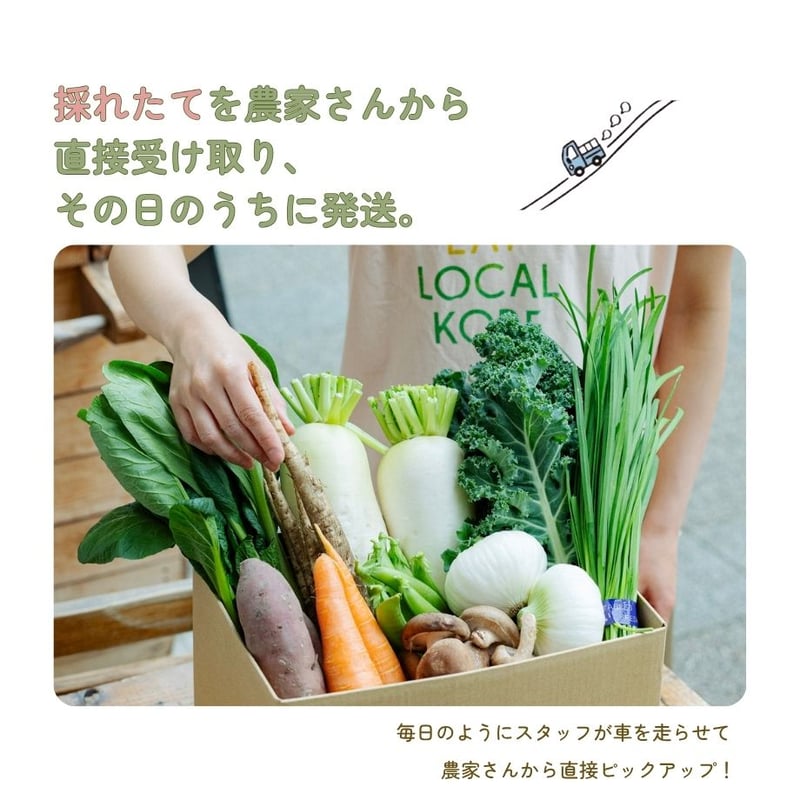 はじめての方限定/送料無料』 おまかせ神戸野菜S・Mセット | FARMSTAND