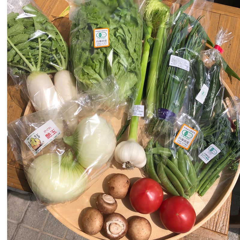 家庭菜園セット、ご予約承ります。 こども菜園(R)栽培セット（小かぶちゃん）（虫よけ＆保温カバー