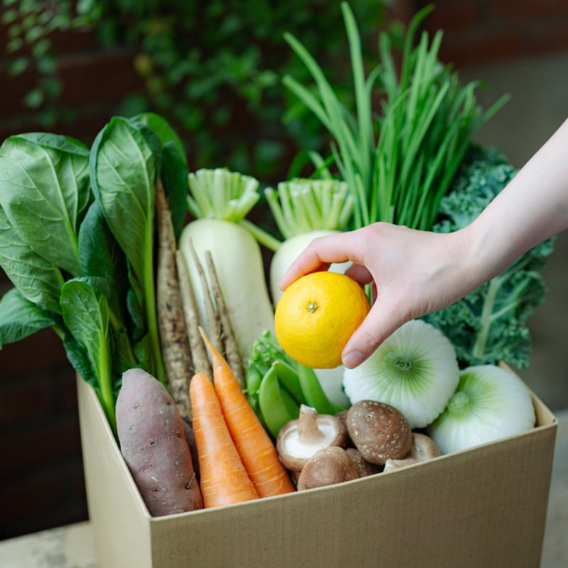 神戸野菜の定期便』一人暮らしにちょうどいいSセット | FARMSTAND DELIVERY