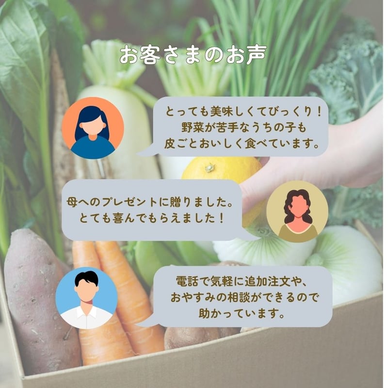 はじめての方限定/送料無料』 おまかせ神戸野菜S・Mセット | FARMSTAND