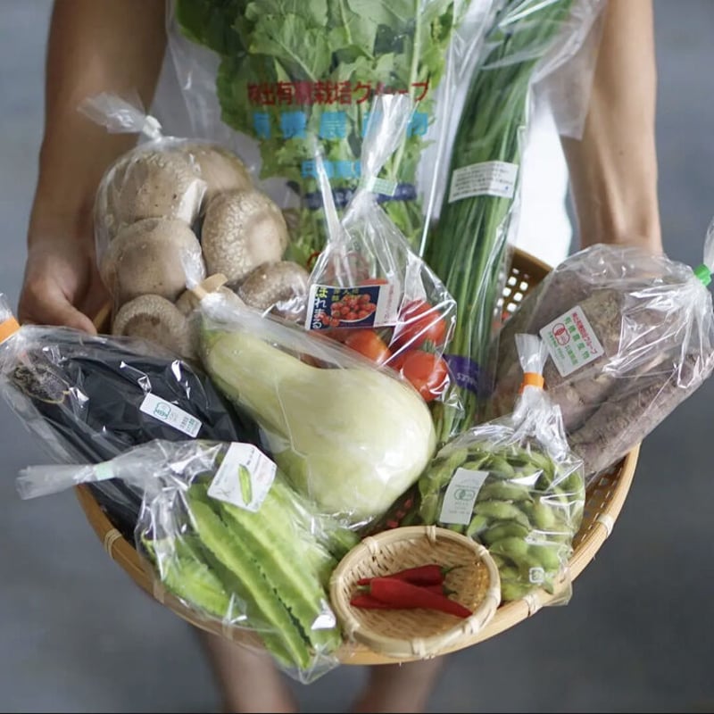 はじめての方限定/送料無料』 おまかせ神戸野菜S・Mセット はじめての方限定/送料無料』 おまかせ神戸野菜S・Mセット