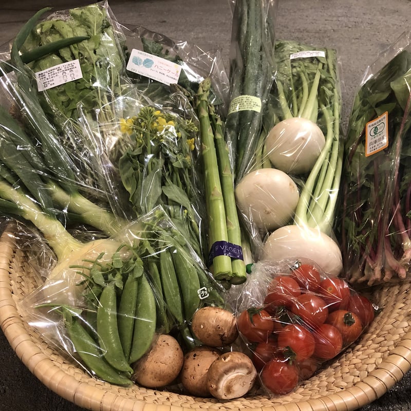 はじめての方限定/送料無料』 おまかせ神戸野菜S・Mセット