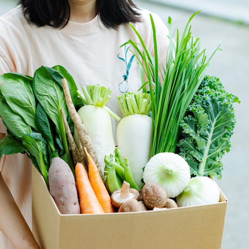 はじめての方限定/送料無料』 おまかせ神戸野菜S・Mセット | FARMSTAND