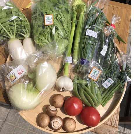 『神戸野菜の定期便』ファミリー向けのMセット