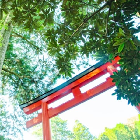 法人様・個人事業主様対象  産土神社鑑定