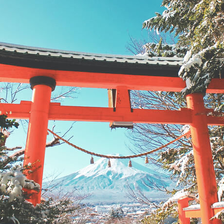 法人様・個人事業主様対象  産土神社鑑定