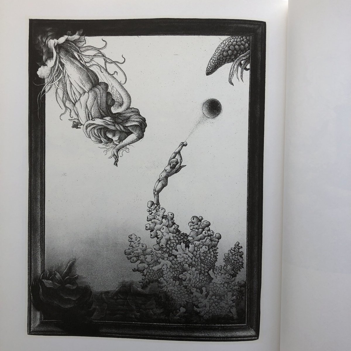 KEIKO KIYOHARA 清原啓子作品集 fit=scale-down,w=1200