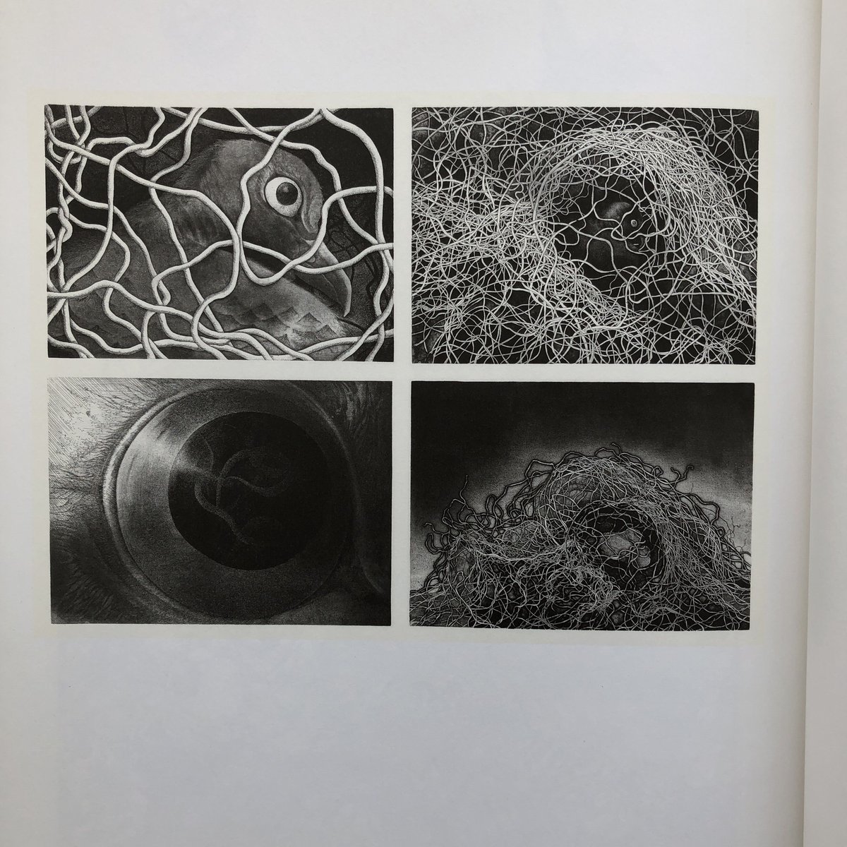 銅版画家 清原啓子作品集 | 古書くんぷう堂