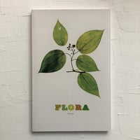 DREAMING IN PRINT - A DECADE OF VISIONAIRE - |