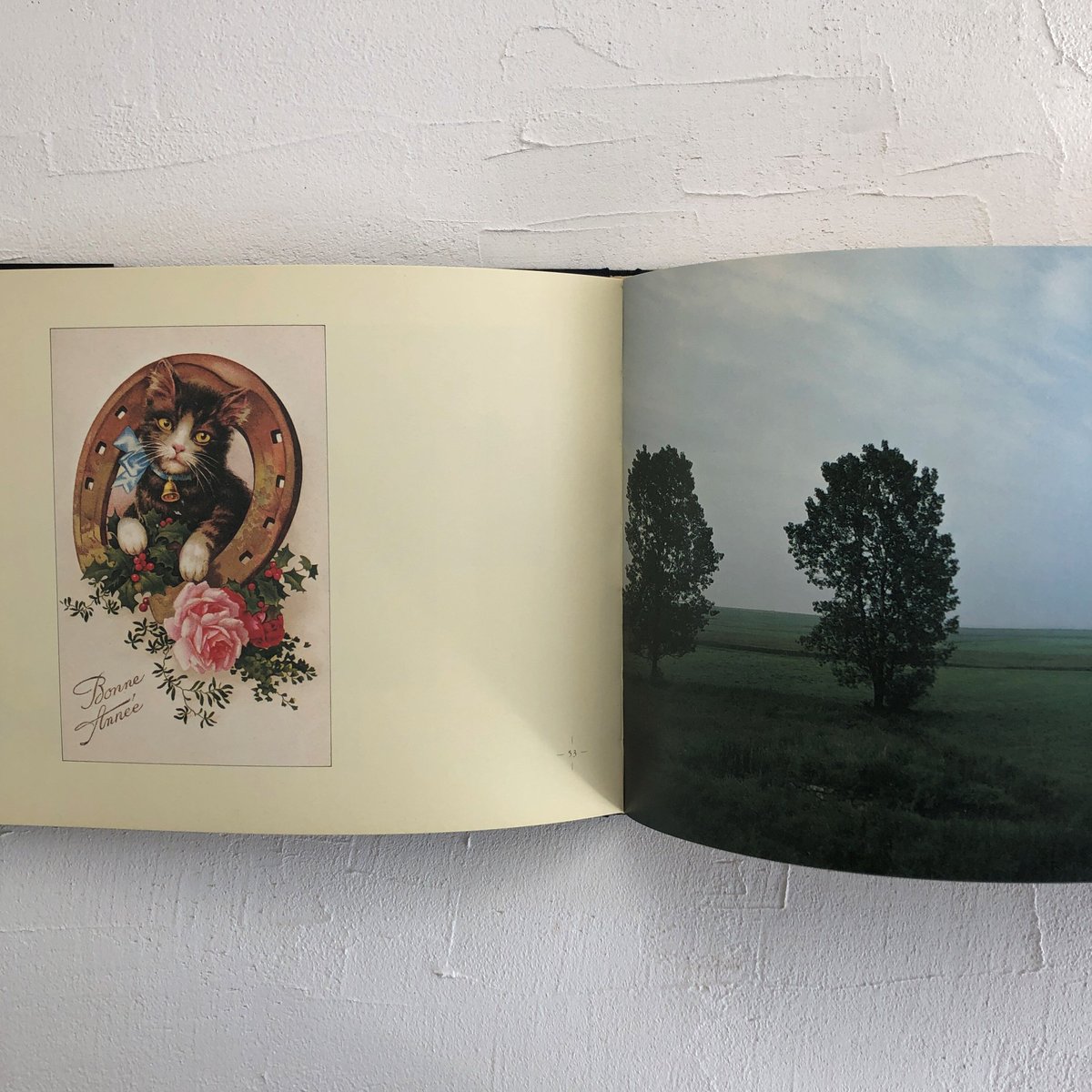 猫の館 アンチック・カードの世界【文：寺山修司】 | 古書くんぷう堂