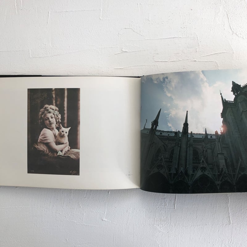 猫の館 アンチック・カードの世界【文：寺山修司】 | 古書くんぷう堂