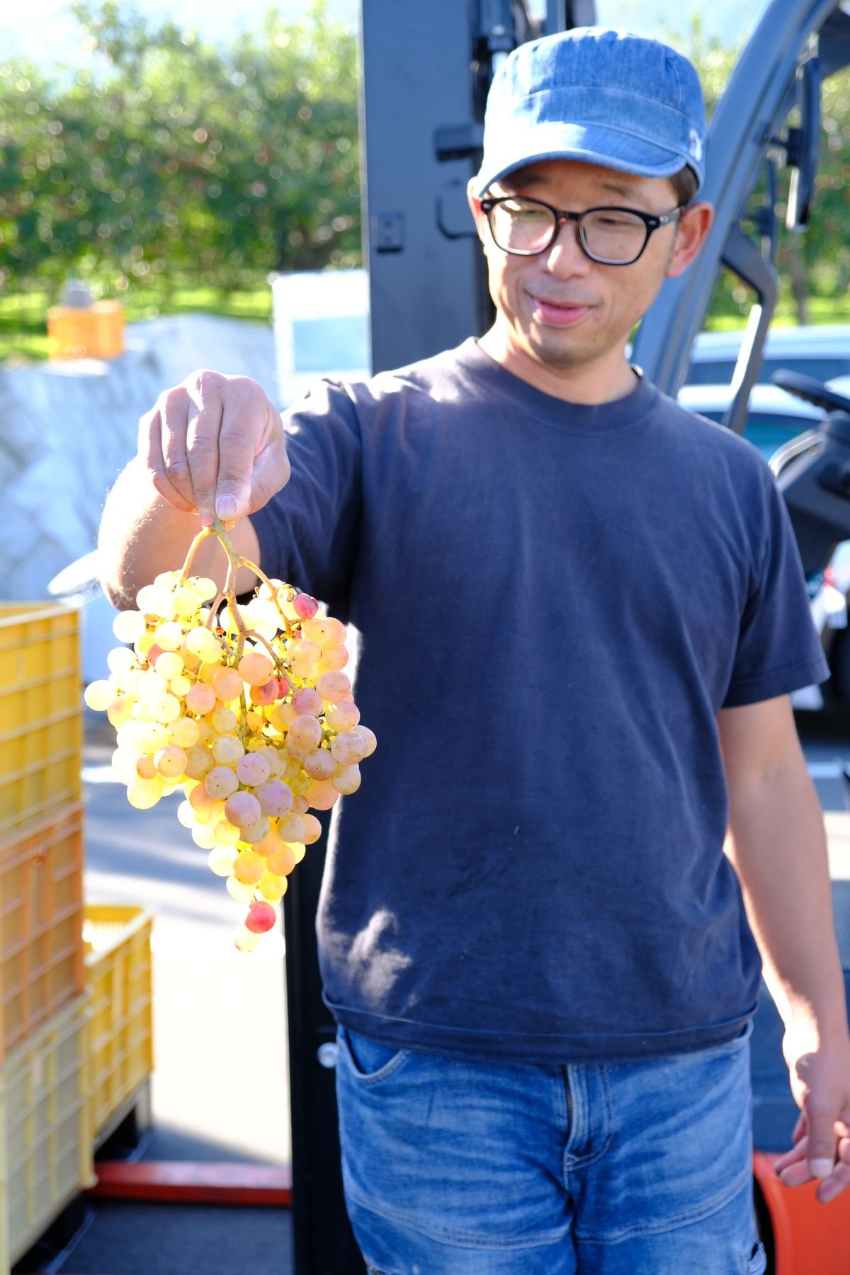 グリ 龍眼 2024 | VinVie Online Shop