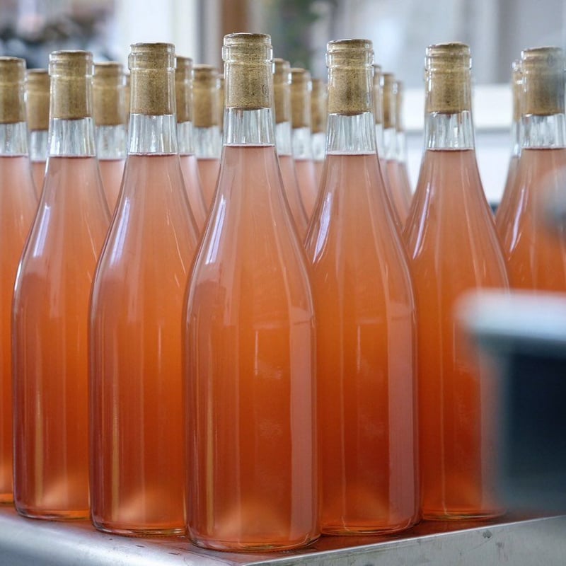 ロゼ 2025 | VinVie Online Shop