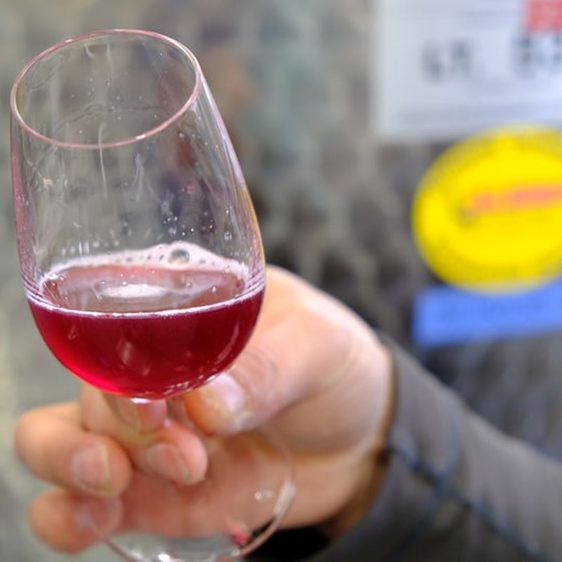 カベルネ・フラン 樽熟成 2024 | VinVie Online Shop