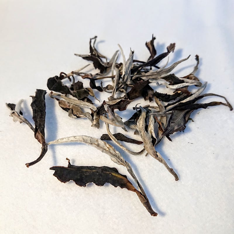 スオイザン月茶 moontea (白茶) 15g | Ethnic Tea Salon