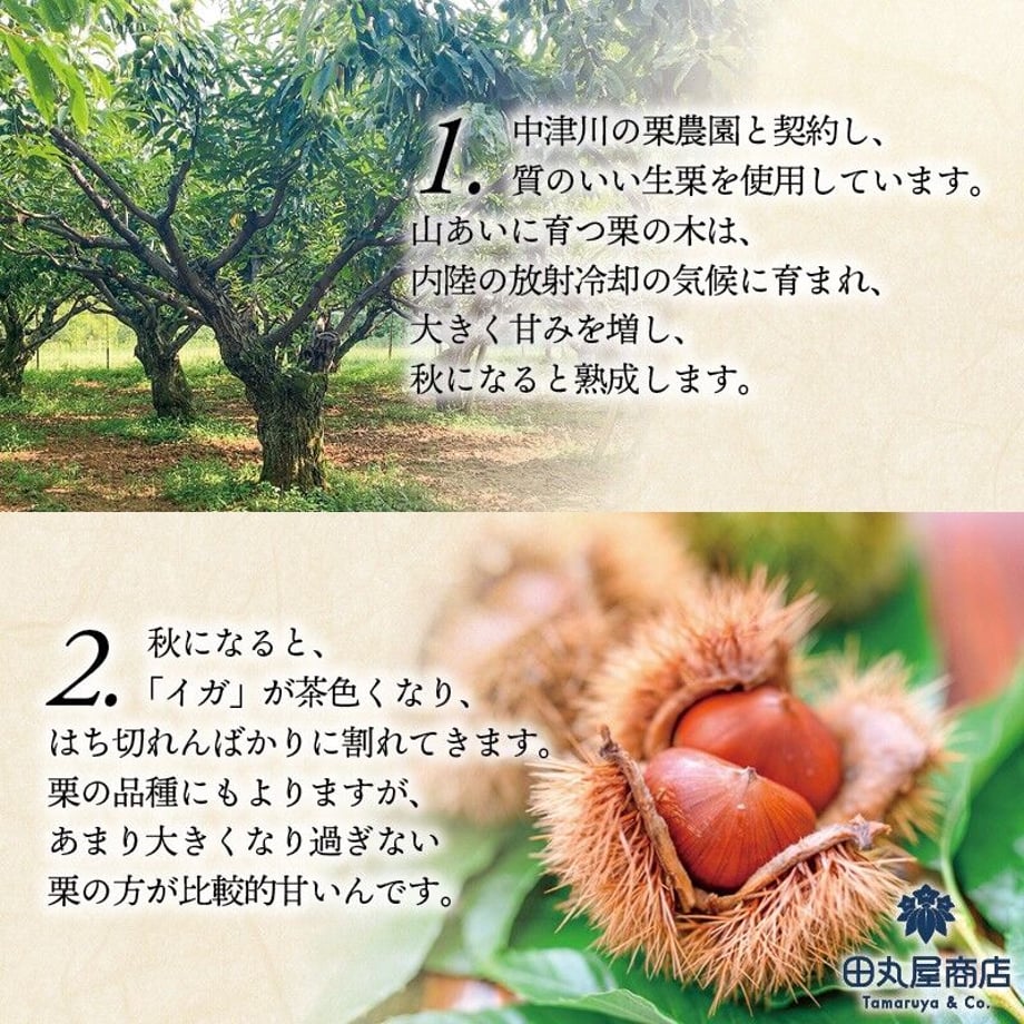 5c78d94ca341d067d658ffde