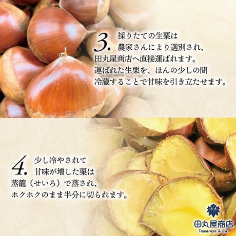栗きんとん　10コ入り
