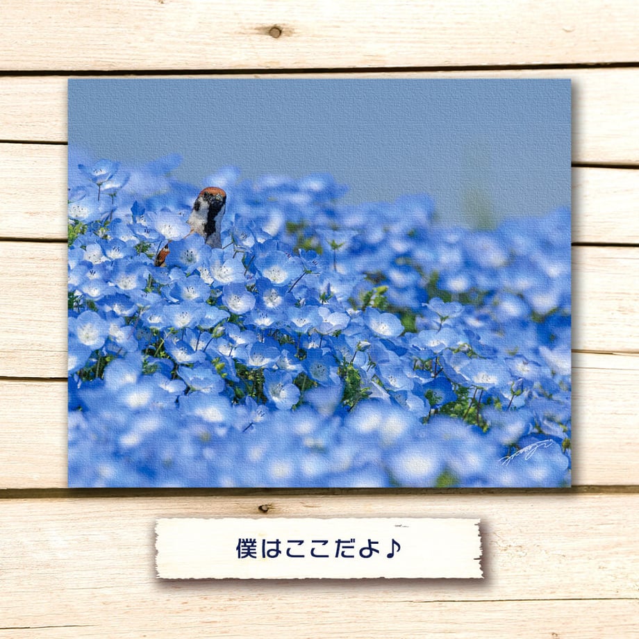 600cfac86e84d55fb995f516
