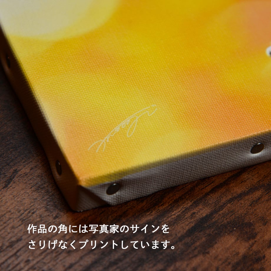 5e280470c78a533ae6e833d2