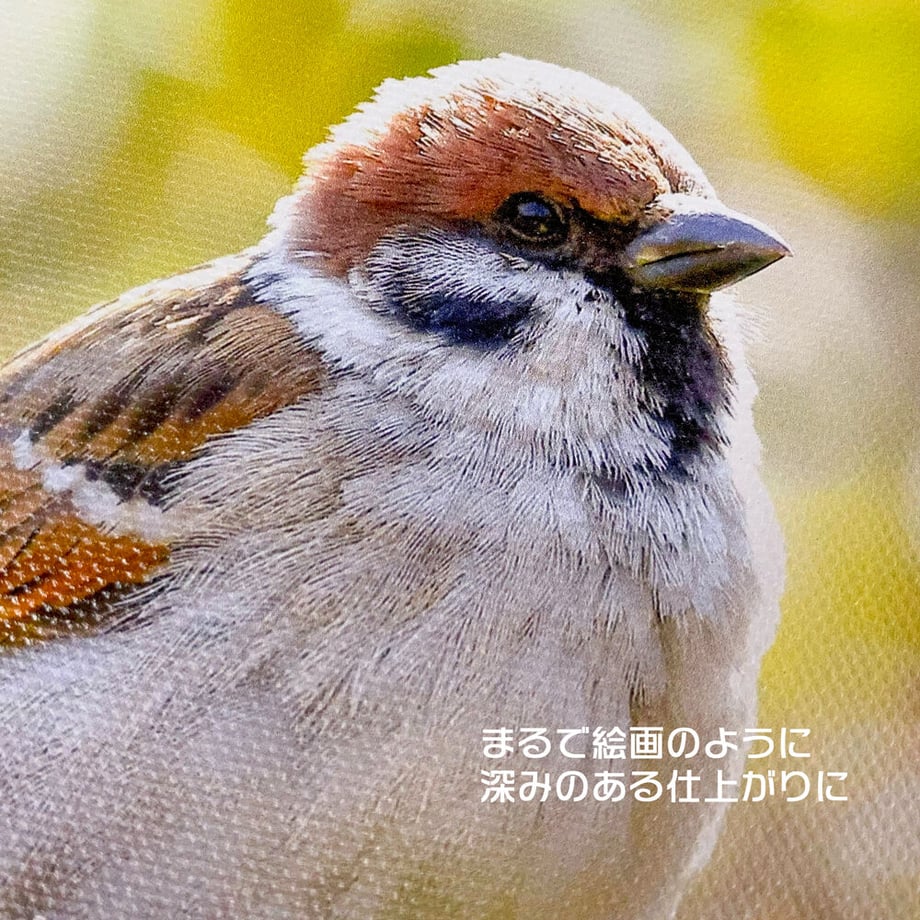 62e6485fa7e5602fec66071c
