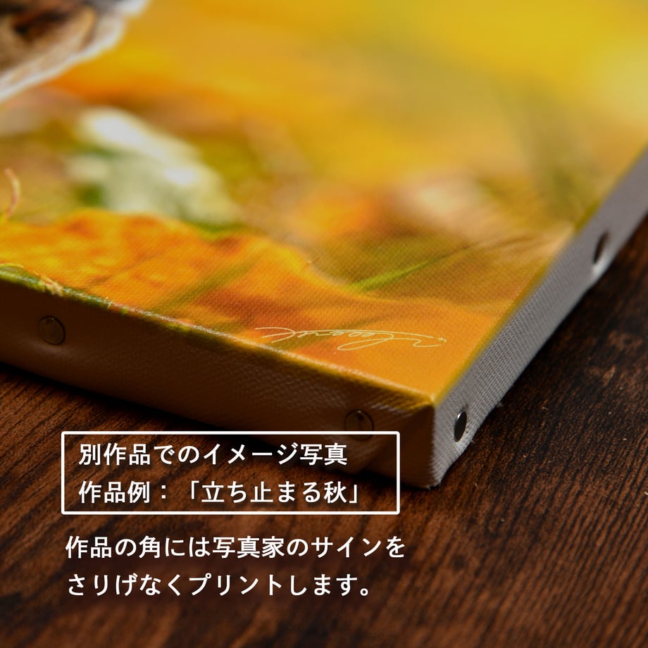 5d60f9c5c8084f0cc13c71d7